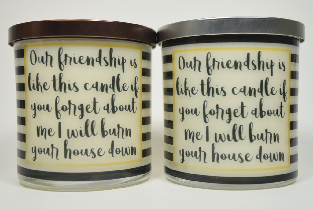 Our Friendship Is Like This Candle If You Forget About Me I Will Burn Your House Down  Soy Candle